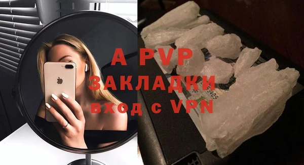 PSILOCYBIN Волосово