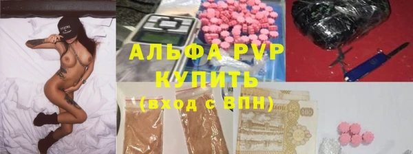 индика Верея