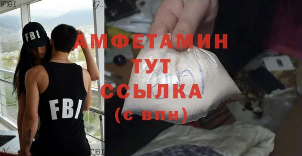 индика Верея
