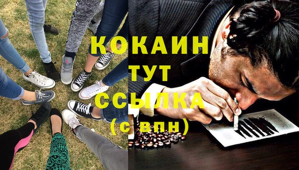 PSILOCYBIN Волосово
