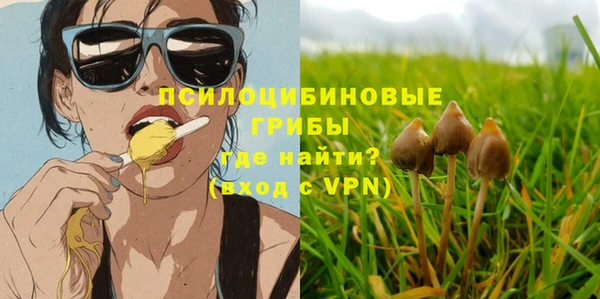 индика Верея