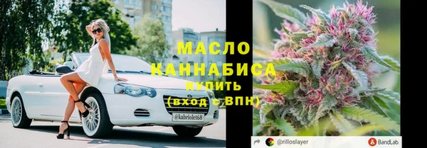 индика Верея