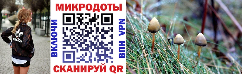 где купить наркоту  Зерноград  Галлюциногенные грибы мицелий 